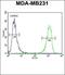 Mortality factor 4-like protein 1 antibody, orb247783, Biorbyt, Flow Cytometry image 