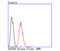 GATA Binding Protein 4 antibody, A00499-2, Boster Biological Technology, Flow Cytometry image 