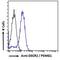 Proteasome Assembly Chaperone 1 antibody, NBP1-36951, Novus Biologicals, Flow Cytometry image 
