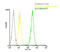 Perforin 1 antibody, ALX-804-057F-T100, Enzo Life Sciences, Flow Cytometry image 
