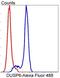 Dual Specificity Phosphatase 6 antibody, NBP2-67320, Novus Biologicals, Flow Cytometry image 