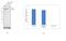 hScrib antibody, PA5-28628, Invitrogen Antibodies, Western Blot image 