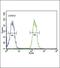 Canalicular multispecific organic anion transporter 2 antibody, PA5-23653, Invitrogen Antibodies, Flow Cytometry image 