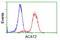 Acetyl-CoA Acetyltransferase 2 antibody, GTX84968, GeneTex, Flow Cytometry image 