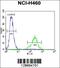 Uncharacterized protein C12orf29 antibody, 55-673, ProSci, Immunofluorescence image 