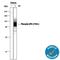 Bruton Tyrosine Kinase antibody, MAB7659, R&D Systems, Western Blot image 