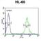 Homeobox protein Hox-A3 antibody, abx034560, Abbexa, Flow Cytometry image 
