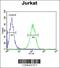 UTP6 Small Subunit Processome Component antibody, 61-874, ProSci, Immunofluorescence image 