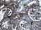 Fibrinogen Gamma Chain antibody, LS-C788480, Lifespan Biosciences, Immunohistochemistry frozen image 