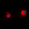 Tumor Protein P53 Inducible Protein 11 antibody, LS-C353173, Lifespan Biosciences, Immunofluorescence image 