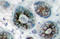 Growth Associated Protein 43 antibody, AP20750PU-N, Origene, Immunohistochemistry frozen image 