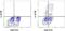 Interleukin 22 antibody, 12-7229-42, Invitrogen Antibodies, Flow Cytometry image 