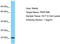 Pre-MRNA Processing Factor 38B antibody, TA331873, Origene, Western Blot image 