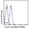 Proteasome Assembly Chaperone 1 antibody, LS-C112794, Lifespan Biosciences, Flow Cytometry image 