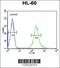 FKBP Prolyl Isomerase Like antibody, 61-808, ProSci, Flow Cytometry image 