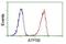 ATP Synthase F1 Subunit Beta antibody, NBP2-02249, Novus Biologicals, Flow Cytometry image 