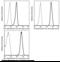 Signal Regulatory Protein Alpha antibody, 50956-R001-P, Sino Biological, Flow Cytometry image 