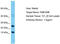 Shisa Like 2B antibody, TA330870, Origene, Western Blot image 