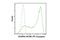 CD45 antibody, 96979S, Cell Signaling Technology, Flow Cytometry image 