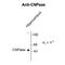 2',3'-Cyclic Nucleotide 3' Phosphodiesterase antibody, GTX82719, GeneTex, Western Blot image 