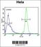 Keratin, type II cytoskeletal 78 antibody, 64-150, ProSci, Flow Cytometry image 