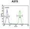 Protein broad-minded antibody, LS-C168172, Lifespan Biosciences, Flow Cytometry image 
