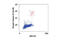 Histone H3 antibody, 9713P, Cell Signaling Technology, Flow Cytometry image 