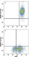 Natural resistance-associated macrophage protein 1 antibody, MAB8400, R&D Systems, Flow Cytometry image 