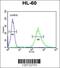 Endo-Beta-N-Acetylglucosaminidase antibody, 55-593, ProSci, Flow Cytometry image 