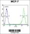 Protocadherin-20 antibody, 55-965, ProSci, Flow Cytometry image 