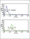 MOP antibody, LS-C163127, Lifespan Biosciences, Flow Cytometry image 