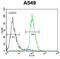 Circadian Associated Repressor Of Transcription antibody, abx025693, Abbexa, Flow Cytometry image 