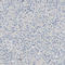 SP140 Nuclear Body Protein antibody, HPA006162, Atlas Antibodies, Immunohistochemistry frozen image 