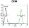Neuronal membrane glycoprotein M6-b antibody, abx026488, Abbexa, Flow Cytometry image 