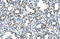 Solute Carrier Family 43 Member 3 antibody, 29-927, ProSci, Immunohistochemistry frozen image 