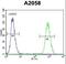 Fibroblast Growth Factor 11 antibody, LS-B9472, Lifespan Biosciences, Flow Cytometry image 