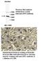 ZFP2 Zinc Finger Protein antibody, MBS416236, MyBioSource, Immunohistochemistry frozen image 