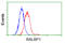RalA Binding Protein 1 antibody, GTX83726, GeneTex, Flow Cytometry image 