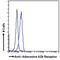 Adenosine A2b Receptor antibody, 45-206, ProSci, Immunofluorescence image 