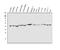 Thioredoxin Interacting Protein antibody, A01409-1, Boster Biological Technology, Western Blot image 