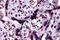 Caspase Recruitment Domain Family Member 14 antibody, A04906, Boster Biological Technology, Western Blot image 