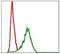 pG2 antibody, MA5-15915, Invitrogen Antibodies, Flow Cytometry image 