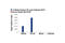 Histone H3 antibody, 9727L, Cell Signaling Technology, Chromatin Immunoprecipitation image 