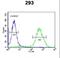 C-C Motif Chemokine Receptor 1 antibody, LS-C168488, Lifespan Biosciences, Flow Cytometry image 