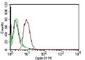 Cyclin D1 antibody, V7043PE-100T, NSJ Bioreagents, Flow Cytometry image 