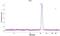 Acylaminoacyl-Peptide Hydrolase antibody, NBP1-85334, Novus Biologicals, Western Blot image 