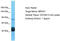 Maestro Heat Like Repeat Family Member 1 antibody, TA330875, Origene, Western Blot image 