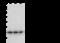 Platelet Derived Growth Factor Subunit A antibody, 102424-T36, Sino Biological, Western Blot image 