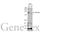 CPT I antibody, GTX636468, GeneTex, Western Blot image 
