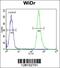 Zinc Finger C4H2-Type Containing antibody, 55-398, ProSci, Flow Cytometry image 